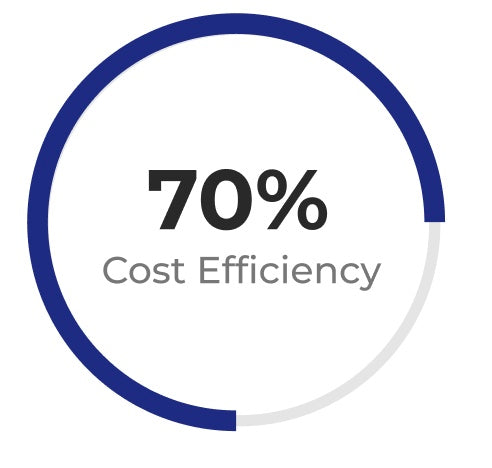 Cost Efficiency